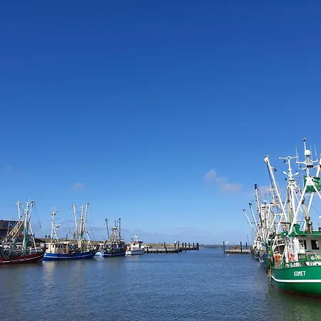 Ferienhaus-seenelke Dom wakacyjny Neßmersiel