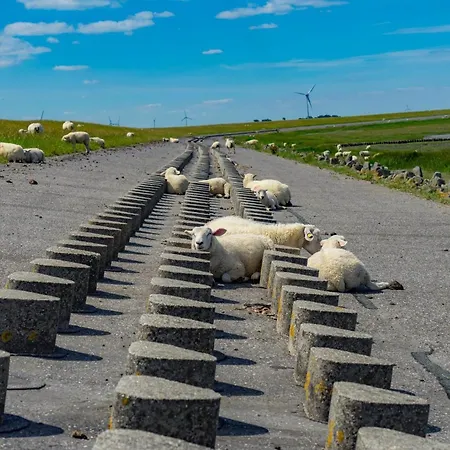 Dom wakacyjny Ferienhaus-seenelke *